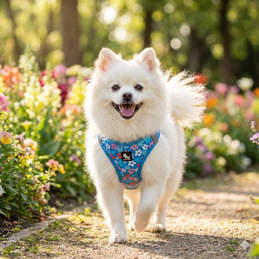 Peitoral Anti-Puxão Refletivo